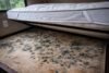 Mold on RV mattress