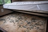 How to Prevent Mold Under an RV Mattress
